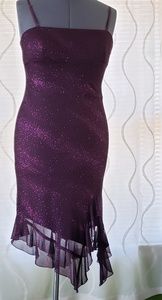 🥂Shimmering Plum Dress